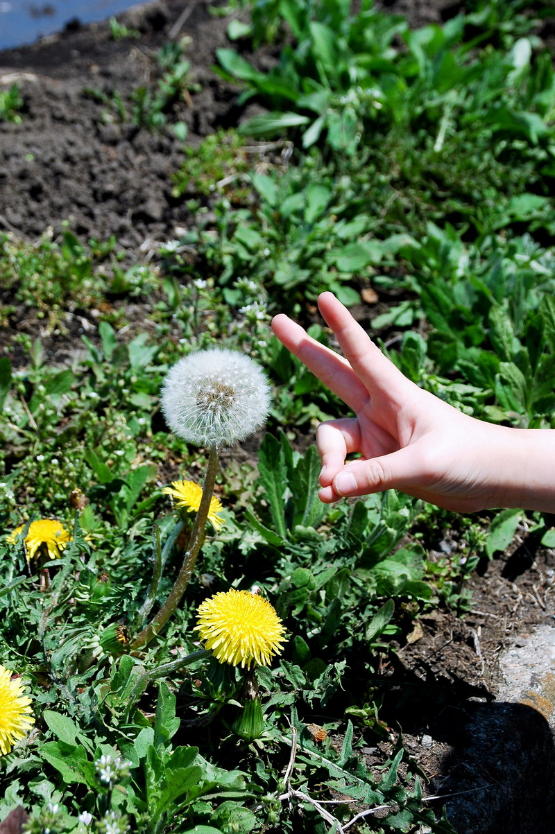 2009-04-11 AM 11-22-33.jpg